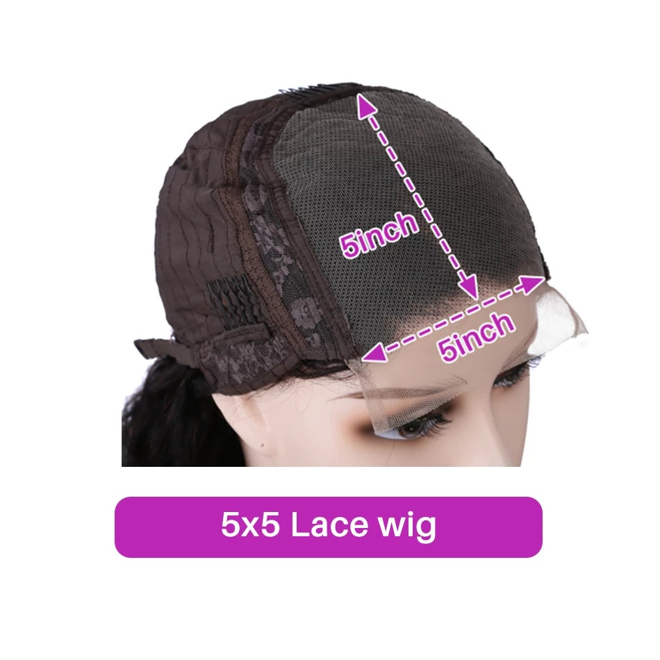 5x5 Lace Closure Wig Body Wave Transparent Lace Closure Wig Malaysia Human Hair Wig For Black Women Pre Plucked Closure Wig